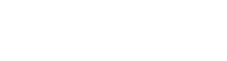 CSS